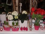 <!--:en-->“Florale Welten” The Floral Shop that inspires one to be creative!!!!!<!--:-->